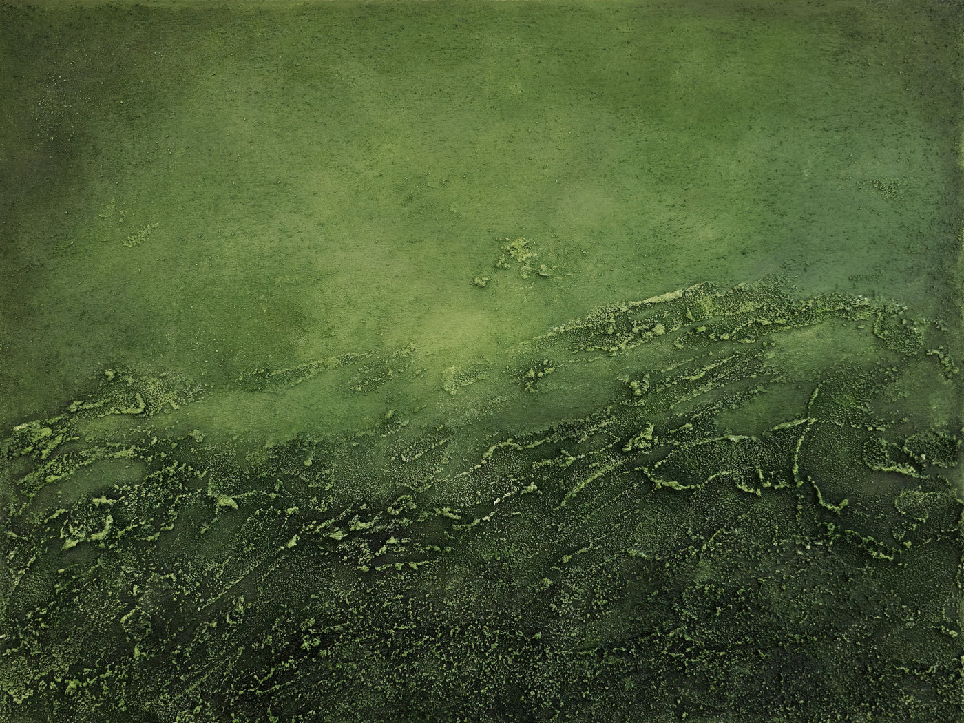 Verdigris