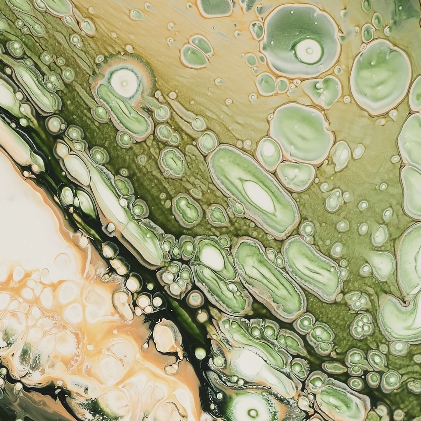 Spring Thaw Fragment Fine Art Print