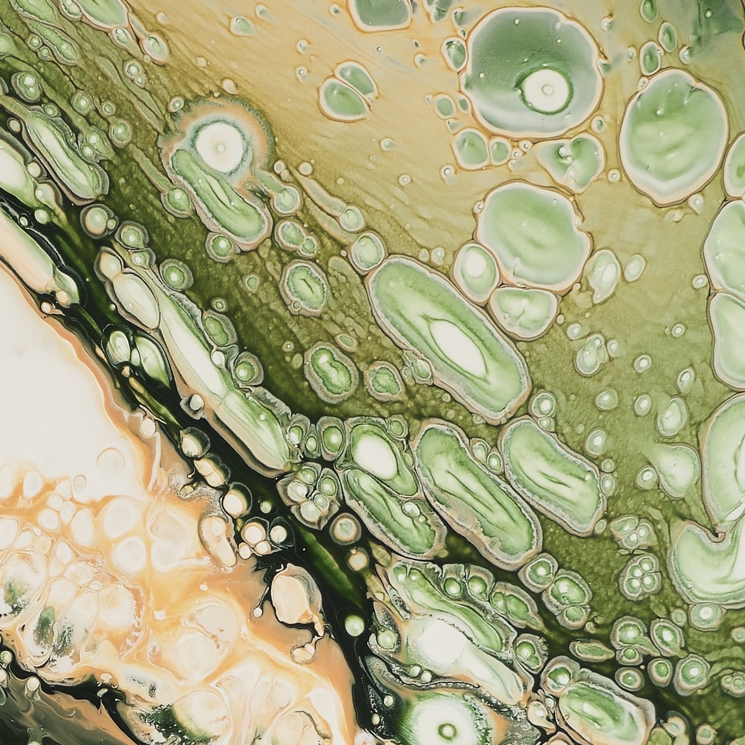 Spring Thaw Fragment Fine Art Print